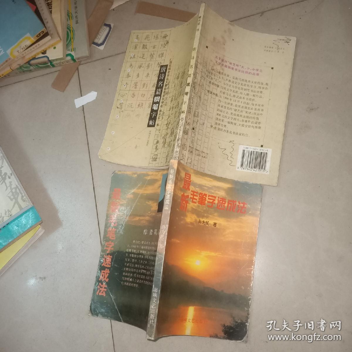 国际钢笔书法大赛特等奖获得者 唐诗名篇钢笔字帖熊兴农 书法技法速成丛书 楷书百日通 行书百日通 最新毛笔字速成法 嘉言书法集 古代爱情诗词钢笔字帖