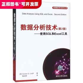 数据分析技术--使用SQL和Excel工具(D2版)/大数据应用与技术丛书