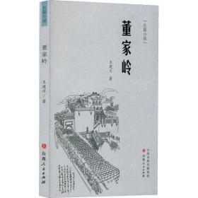 董家岭 中国现当代文学 王建川 新华正版