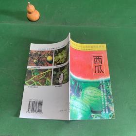寿光大棚蔬菜高效益栽培新技术丛书：西瓜
