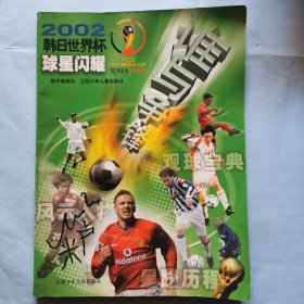 谁与争锋：2002韩日世界杯球星闪耀