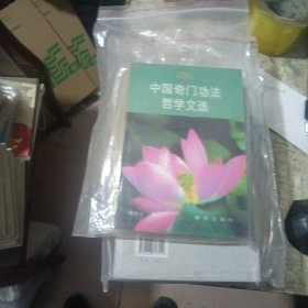 中国奇门 功法哲学文选（1）