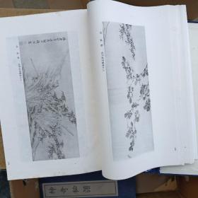南京博物院藏画集，一函二册