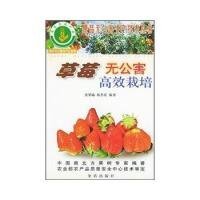 【正版新书】草莓无公害高效栽培