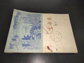 生命泉