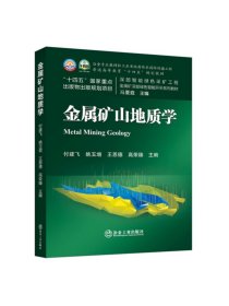 金属矿山地质学/付建飞，姚玉增，王恩德