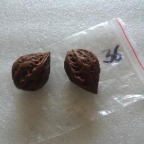 同一棵树结出玩红的东北秋子核桃36（有一个尖裂了）