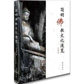 简明通览 宗教 王宏涛 著 新华正版