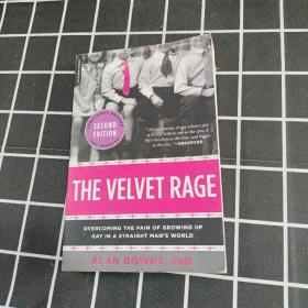The Velvet Rage：Overcoming the Pain of Growing Up Gay in a Straight Man's World（英文）