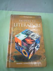 BRIDGES TO LITERATURE(英文原版)