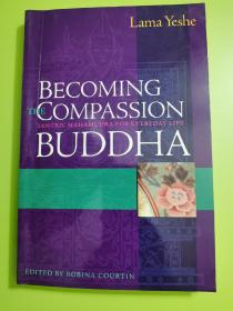 becoming the compassion Buddha tantric Mahamudra for everyday life