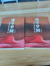 魂牵梦圆：老兵笔下的新中国故事中下两本合售