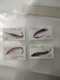 鲟 邮票