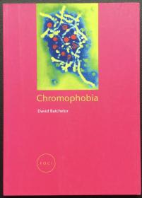 David Batchelor《Chromophobia》