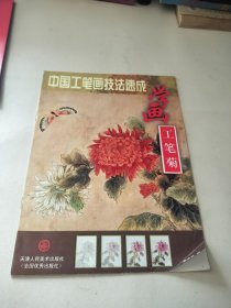 中国工笔画技法速成－学画工笔菊