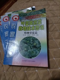 叶菜类蔬菜栽培技术图说(特种甘蓝篇)