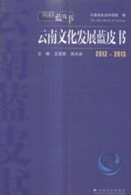 2012~2013云南文化发展蓝皮书 王亚南，田大余主编 9787548215677