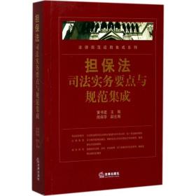担保法实务要点与规范集成 法学理论 黄书建 主编 新华正版