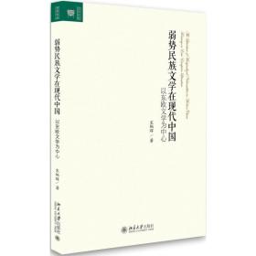 新华正版 弱势民族文学在现代中国 宋炳辉 9787301284865 北京大学出版社 2017-08-01