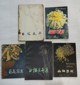白描菊花，白描花卉集，白描花卉，菊花写生“活页，缺2张”【4本合售，附赠1本菊花】