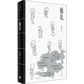 面孔 中国现当代文学理论 东君 新华正版