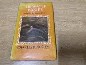 The Water-Babies  《水孩》，Rosalie K.Fry插圖，精裝
