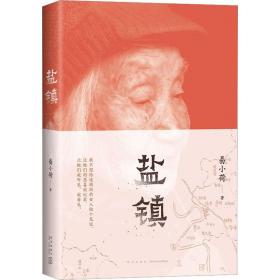 盐镇 中国现当代文学 易小荷 新华正版