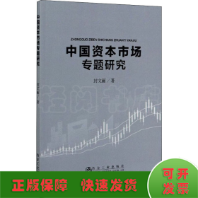 中国资本市场专题研究