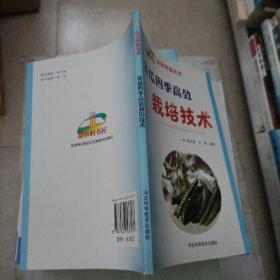 新农村书屋·蔬菜种植技术：黄瓜四季高效栽培技术