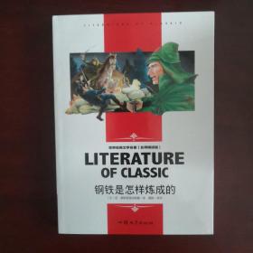 《钢铁是怎么炼成的》世界语+中文版两本合售