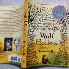 狼洞之夜WOLF  HOLLOW2017年纽伯瑞银奖
一
