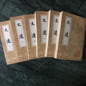 中国古典文学丛书：文选（平装，全六册）