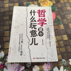 哲学是个什么玩意儿 馆藏正版无笔迹
