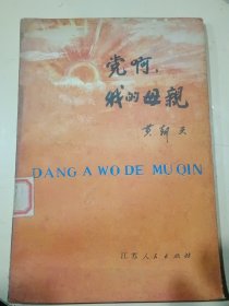 《党啊，我的母亲》（黄朝天将军回忆录，记录参加红军、长征到陕北、上抗日前线的战斗历程。）