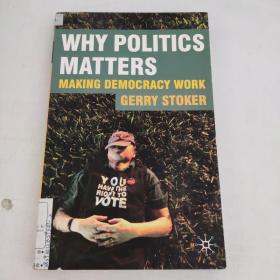 Why Politics Matters