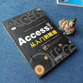 Access 2013从入门到精通(附光盘)