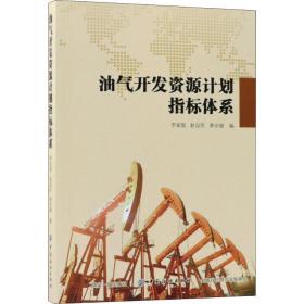 保正版！油气开发资源计划指标体系9787518035038中国纺织出版社李家强