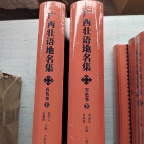 广西壮语地名集 百色卷上下册