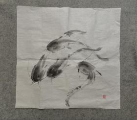 国画鲢鱼原稿手绘 真迹 画心软片尺寸67*69厘米