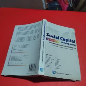 Social Capital in Hong Kong—Connectivitiesand Social Enterprise