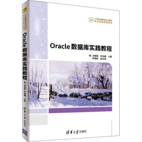 Oracle数据库实践教程 9787302488354