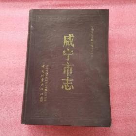 咸宁市志