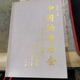 中国秘密社会（第七卷）当代会道门·当代黑社会组织 精装本 没有书衣