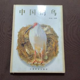 中国的鸟