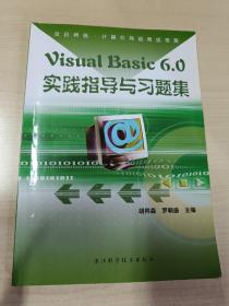正版二手Visual Basic 6.0实践指导与习题集胡同森浙江科学技术出版社9787534125843