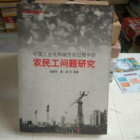 中国工业化和城市化过程中的农民工问题研究