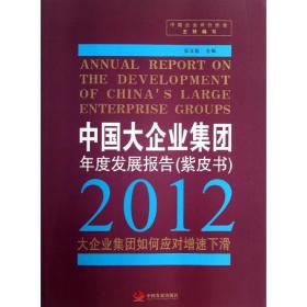 新华正版 中国大企业集团年度发展报告 中国企业评价协会 9787802349087 中国发展出版社 2013-04-01