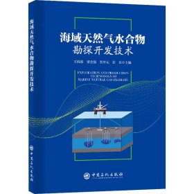 新华正版 海域天然气水合物勘探开发技术 张乐主编；王海波；梁金强；贺甲元 9787511467959 中国石化出版社