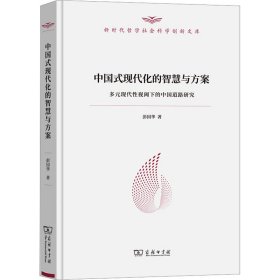 中国式现代化的智慧与方案 多元现代视阈下的中国道路研究