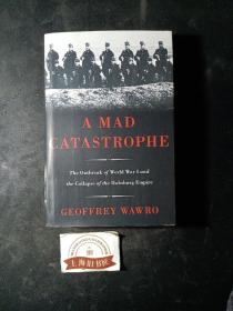 A Mad Catastrophe：The Outbreak of World War I and the Collapse of the Habsburg Empire（精装）